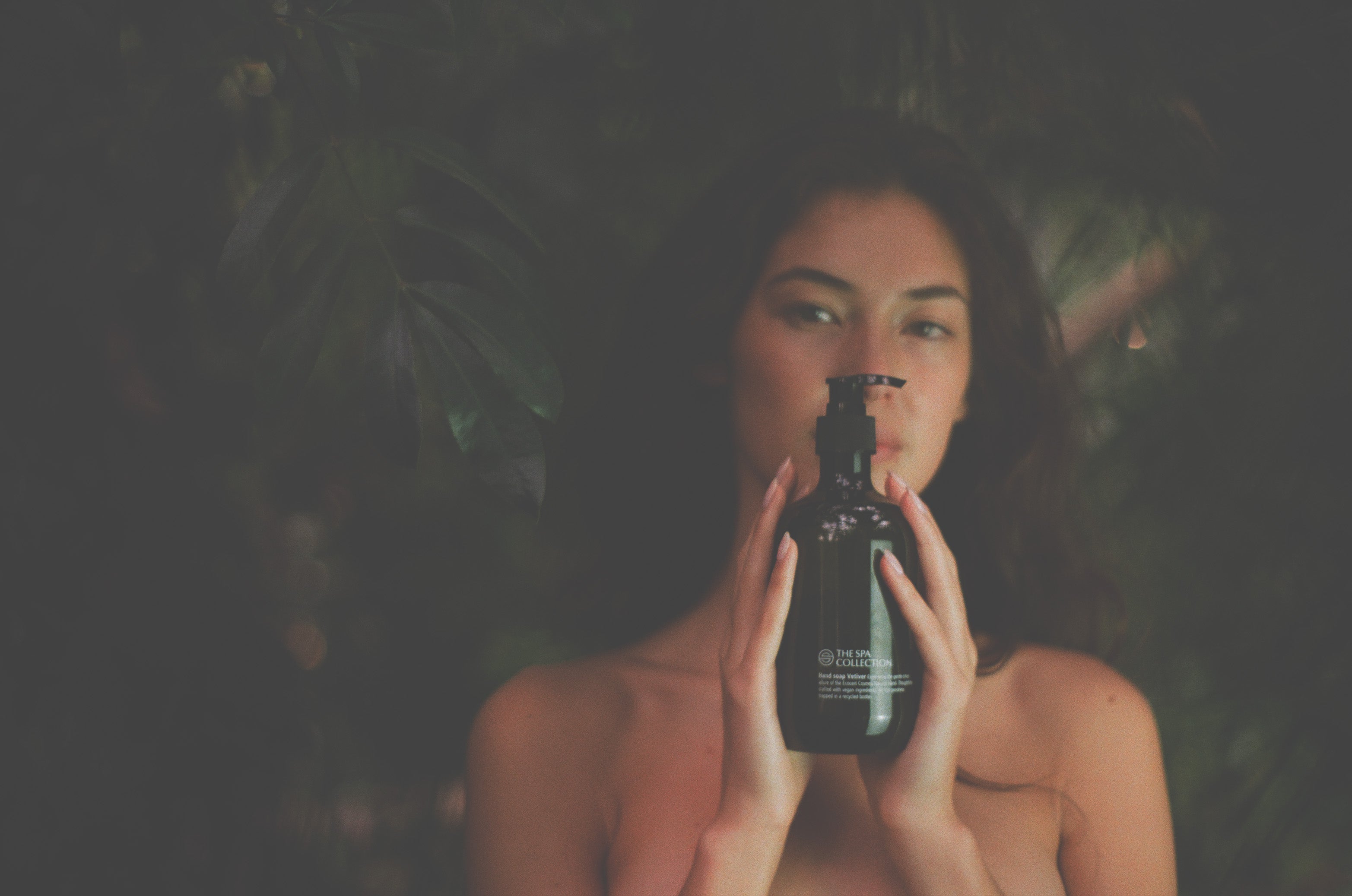 The Vetiver, Where nature meets comfort.